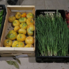 Vente de légumes les 11 et 12 septembre